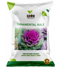 Grow Delight Imported Ornamental Kale 100 Seeds Grow Delight Imported Ornamental Kale 100 Seeds